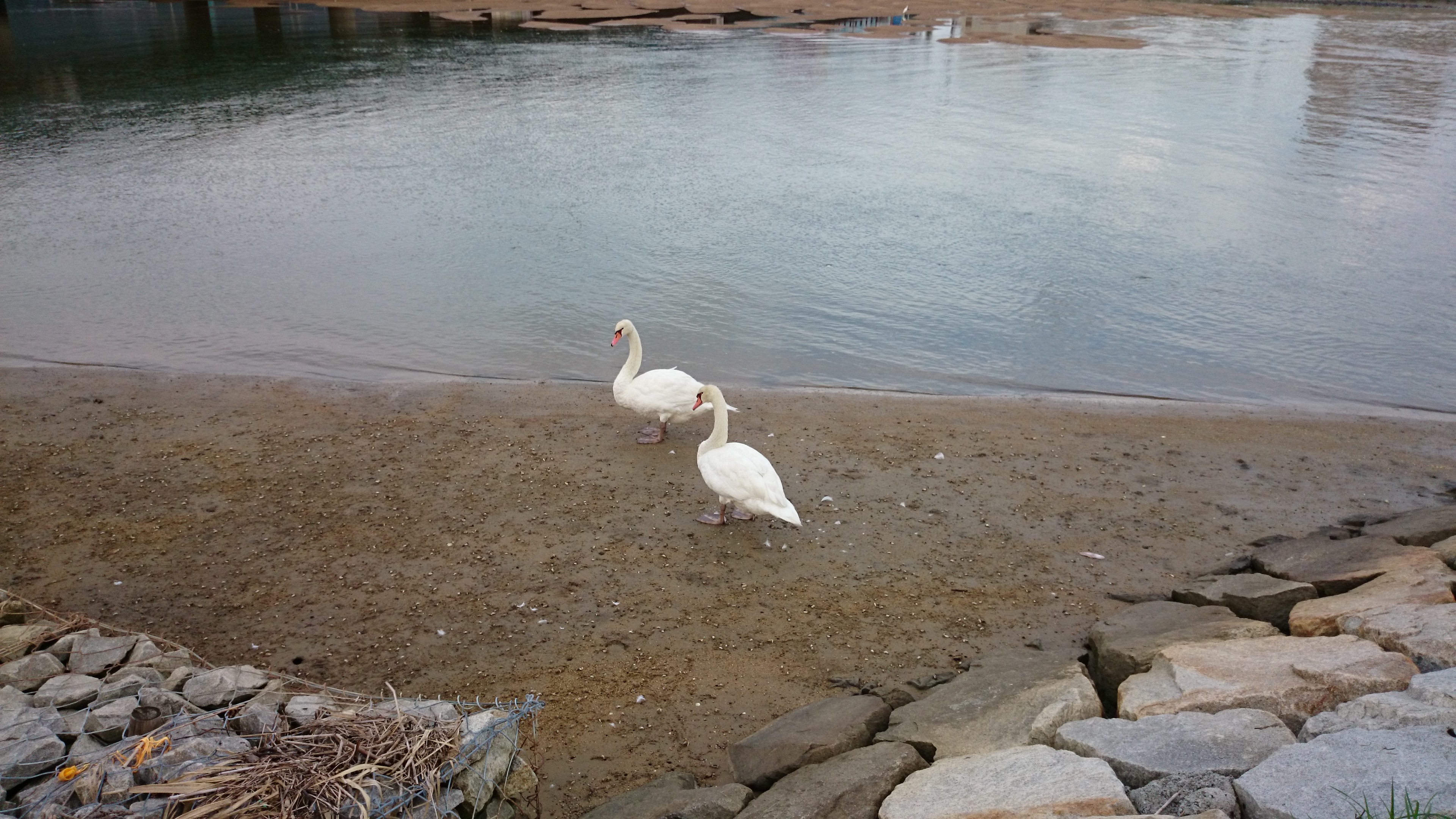 DSC_0041.JPG