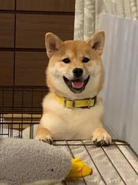 なな.jpeg
